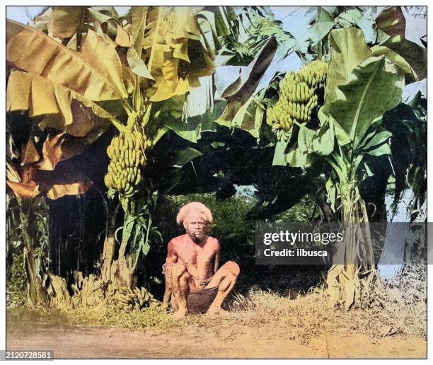 antique black and white photograph: native of samoa and his banana grove - polynesian cultural center hawaii stock illustrations