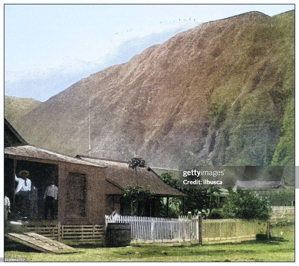 Antique black and white photograph: Leper settlement, Molokai, Hawaii