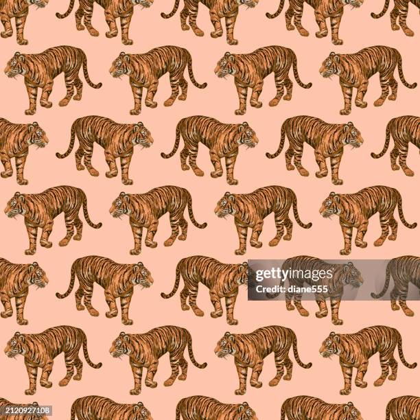 Tiger Pattern Moving 19,346 Tiger Walking Stock Photos, High-Res Pictures, and Images ...