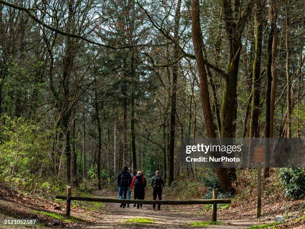 People are going for a walk during the Easter holidays in Groesbeek, Netherlands, on March 31, 2024.