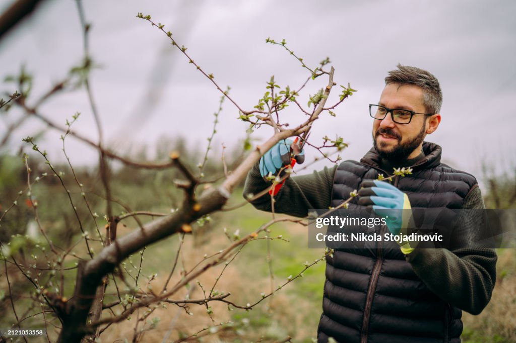 Taking care of my orchard