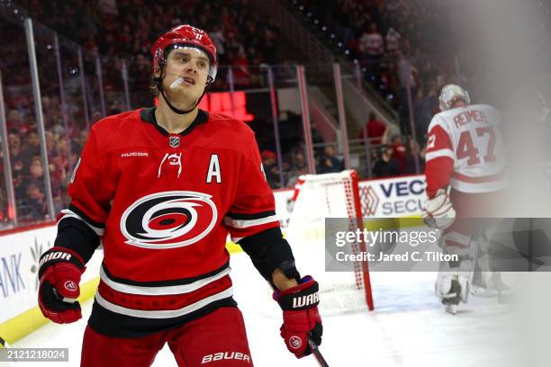 Sebastian Aho of the Carolina Hurricanes celebrates following a goal scored during the second period of the game against the Detroit Red Wings at PNC...
