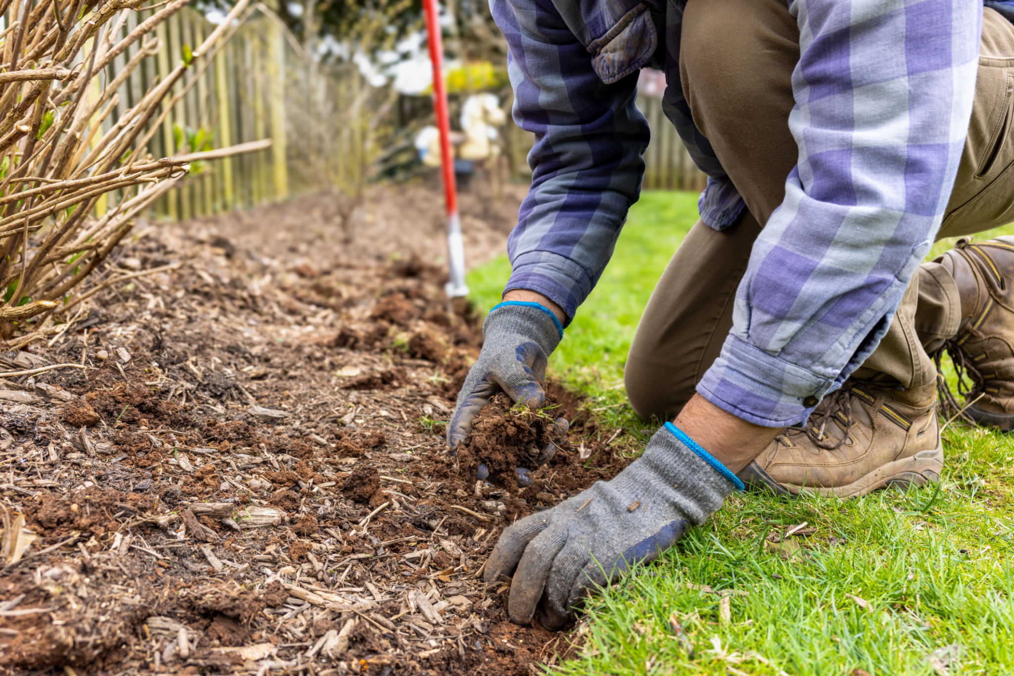 tree mulching