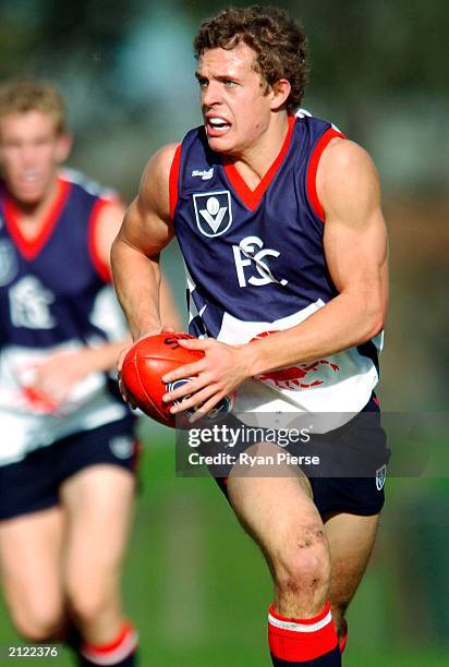 Luke Ball 75 The Springvale Scorpions Stock Photos, High-Res Pictures, and Images ...
