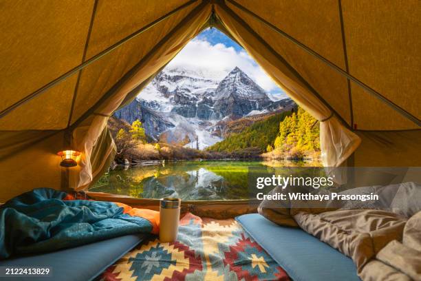camping tent in a camping in a forest - tibetan tent stock pictures, royalty-free photos & images