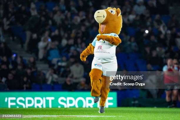 Pottoka mascot of Aviron Bayonnais during the Top 14 match between Bayonne and Toulon at Reale Arena on March 31, 2024 in San Sebastian, Spain. -...