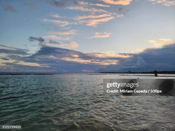 scenic view of sea against sky during sunset - there something about miriam stock pictures, royalty-free photos & images