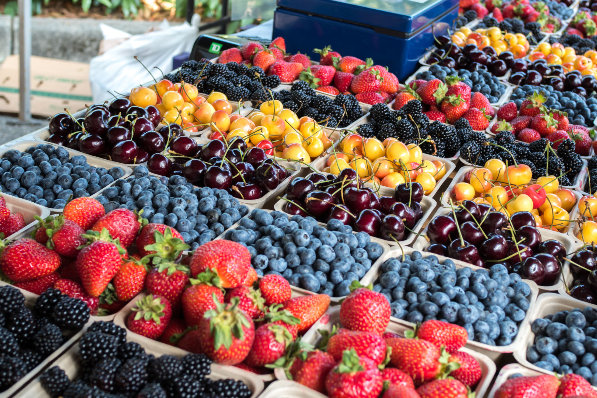 farmers market