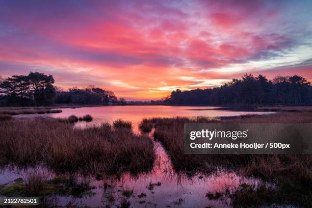 scenic view of lake against sky during sunset - ochtend stock pictures, royalty-free photos & images