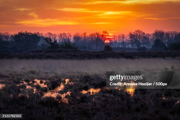 scenic view of field against orange sky - ochtend fotografías e imágenes de stock