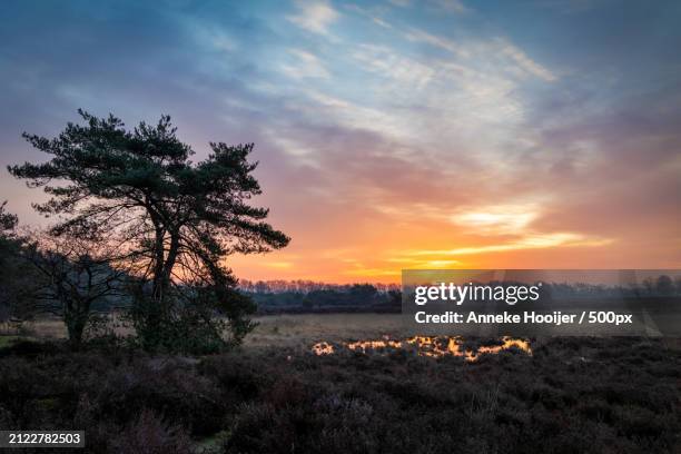 scenic view of field against sky during sunset - ochtend fotografías e imágenes de stock