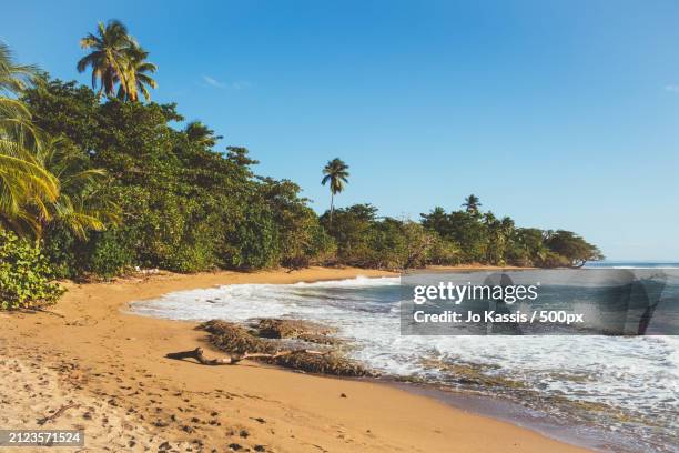 scenic view of beach against clear blue sky,puerto rico - puerto rico photos et images de collection