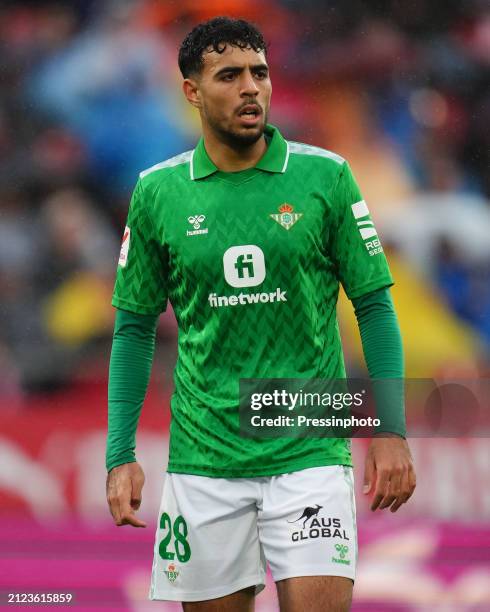 317 Chadi Riad Stock Photos, High-Res Pictures, and Images - Getty Images