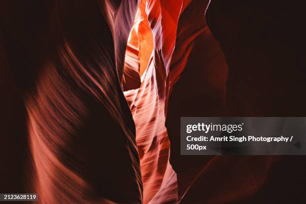 close-up of feathers,page,arizona,united states,usa - coconino county stock pictures, royalty-free photos & images