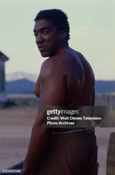 Stan Shayer 301 Stan Shaw Photos & High Res Pictures - Getty Images