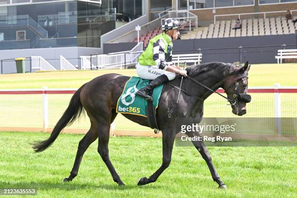 Billy Egan returns to the mounting yard on Elegancia after winning the Rex Gorell Volkswagen Maiden Plate at Geelong Racecourse on April 02, 2024 in...