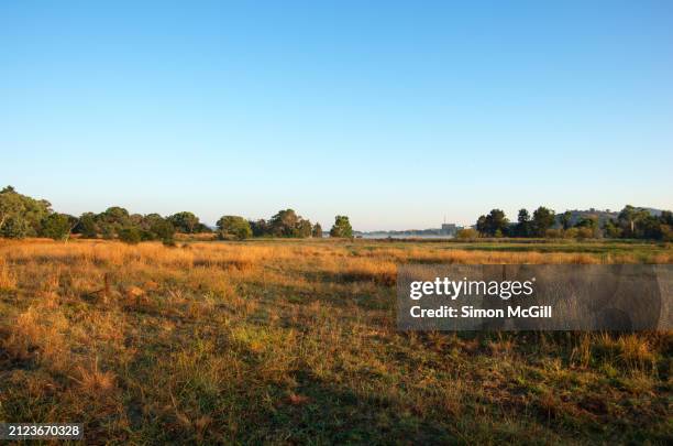 jerrabomberra wetlands nature reserve, fyshwick, canberra, australian capital territory, australia - australisch hoofdstedelijk territorium stockfoto's en -beelden