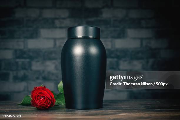 close-up of red rose in vase on table,germany - thorsten nilson foto e immagini stock