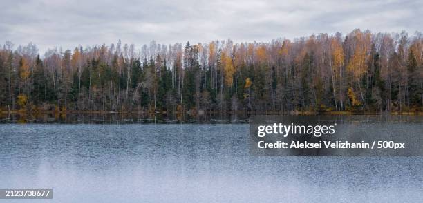 scenic view of lake against sky during autumn,estonia - estonia forest stock pictures, royalty-free photos & images