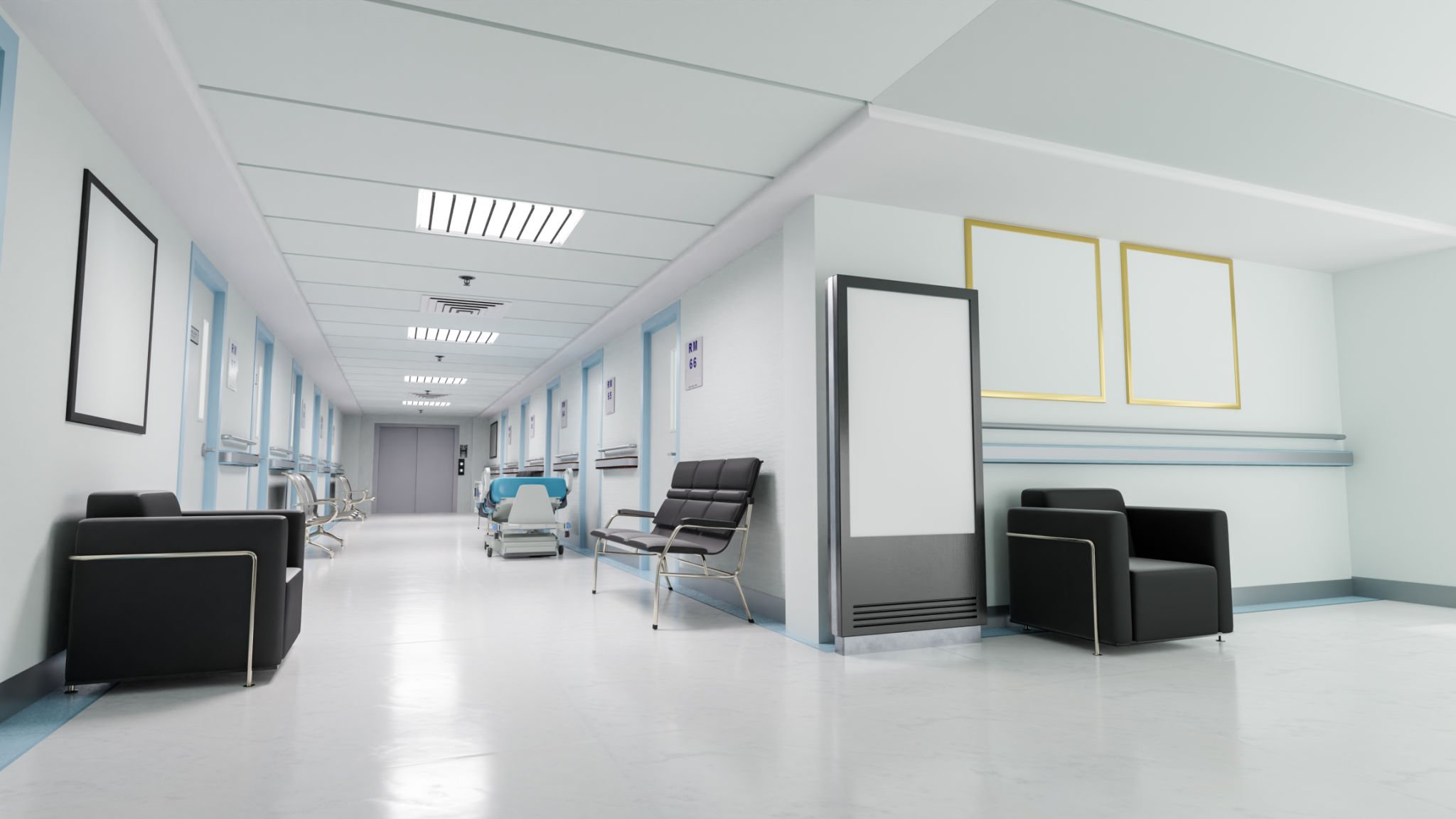 medical school entrance