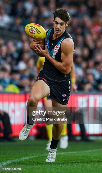 AFL Rd 3 - Port Adelaide v Melbourne AFL Rd 3 - Port Adelaide v Melbourne