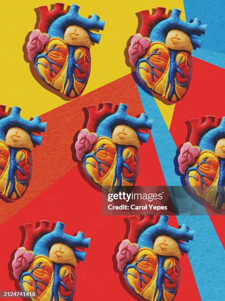 anatomical heart made of plasticine - menselijke slagader stockfoto's en -beelden