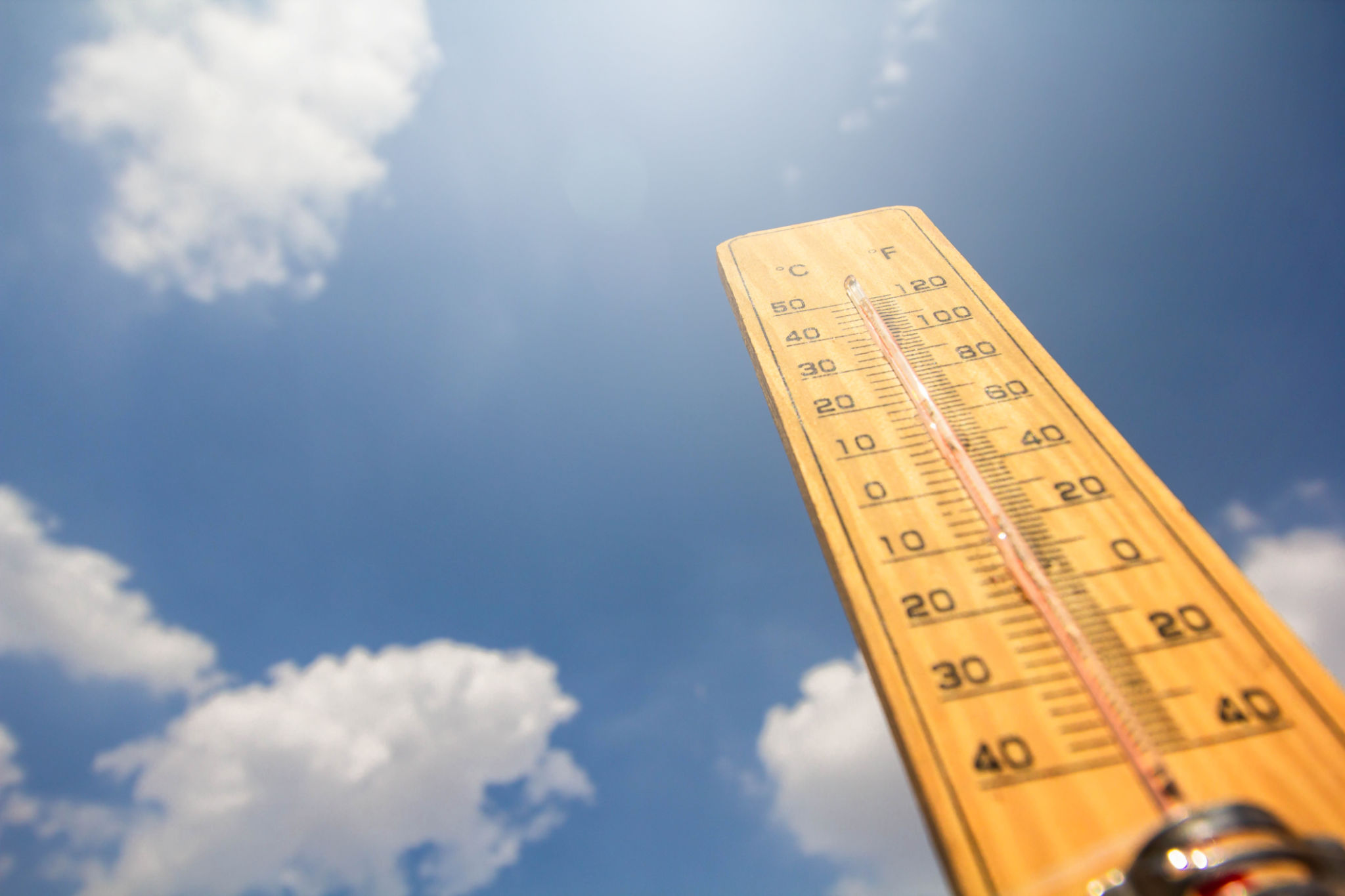 sunny weather