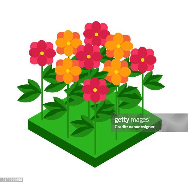 Isometric Flowerd Isometric Bushes Photos and Premium High Res Pictures - Getty Images