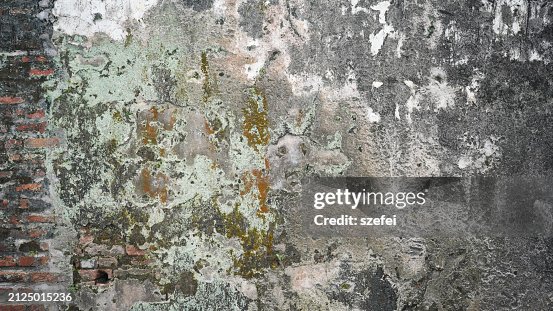 Rusty cement wall with algae moss Rusty cement wall with algae moss