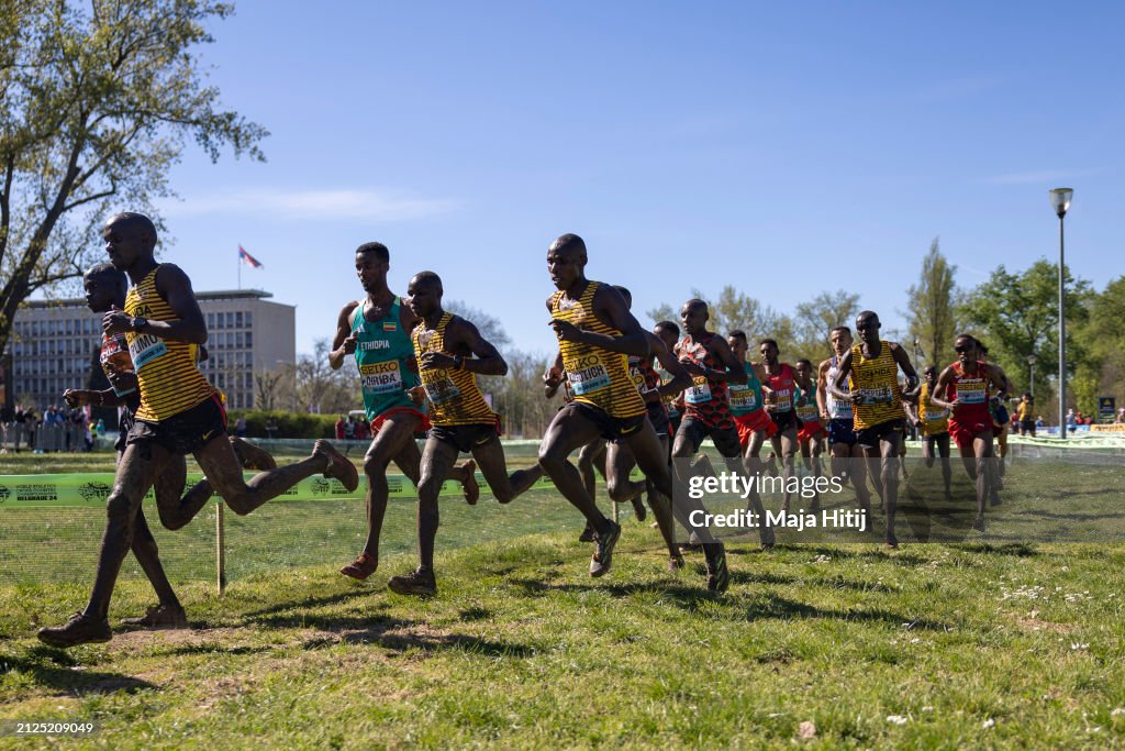 World Athletics Cross Country Championships Belgrade 2024