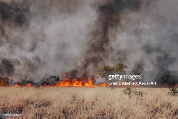 wildfire burning out of control in the australian outback, the pilbara, western australia, australia - australia bushfire stock pictures, royalty-free photos & images