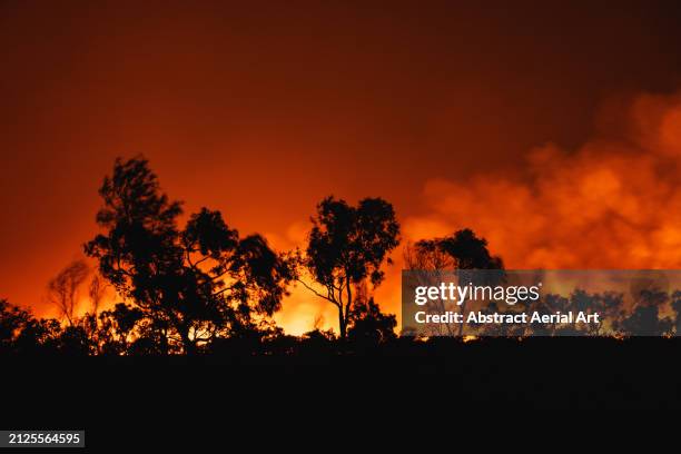 bush fire photographed at night near fitzroy crossing, the kimberley, western australia, australia - burns night stock pictures, royalty-free photos & images