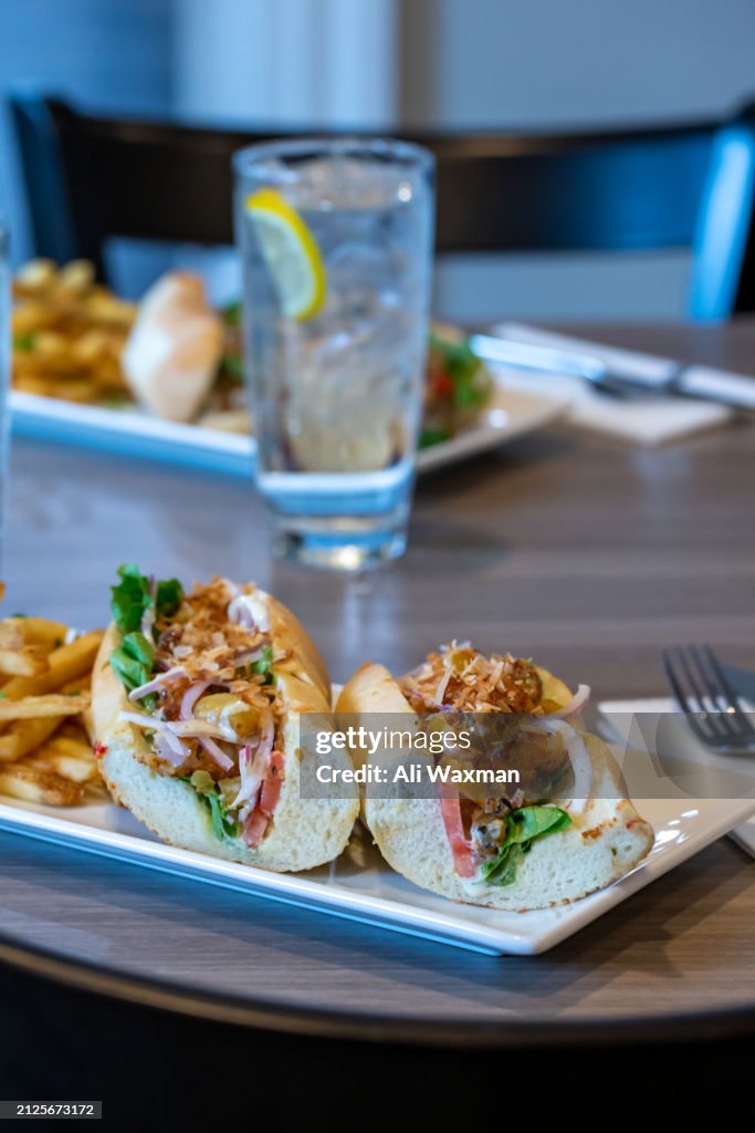 Chicken Cheese Steak and Fries (vertical)