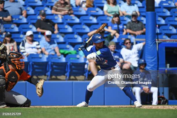 Rafael Lantigua of the Toronto Blue Jays bats during the eighth inning of a spring training game against the Baltimore Orioles at TD Ballpark on...