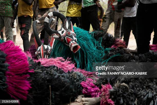 Traditional masks representing an ox and a koba , lay on the ground while waiting for the parade to start, at Festimasq, the Festival des Masques in...