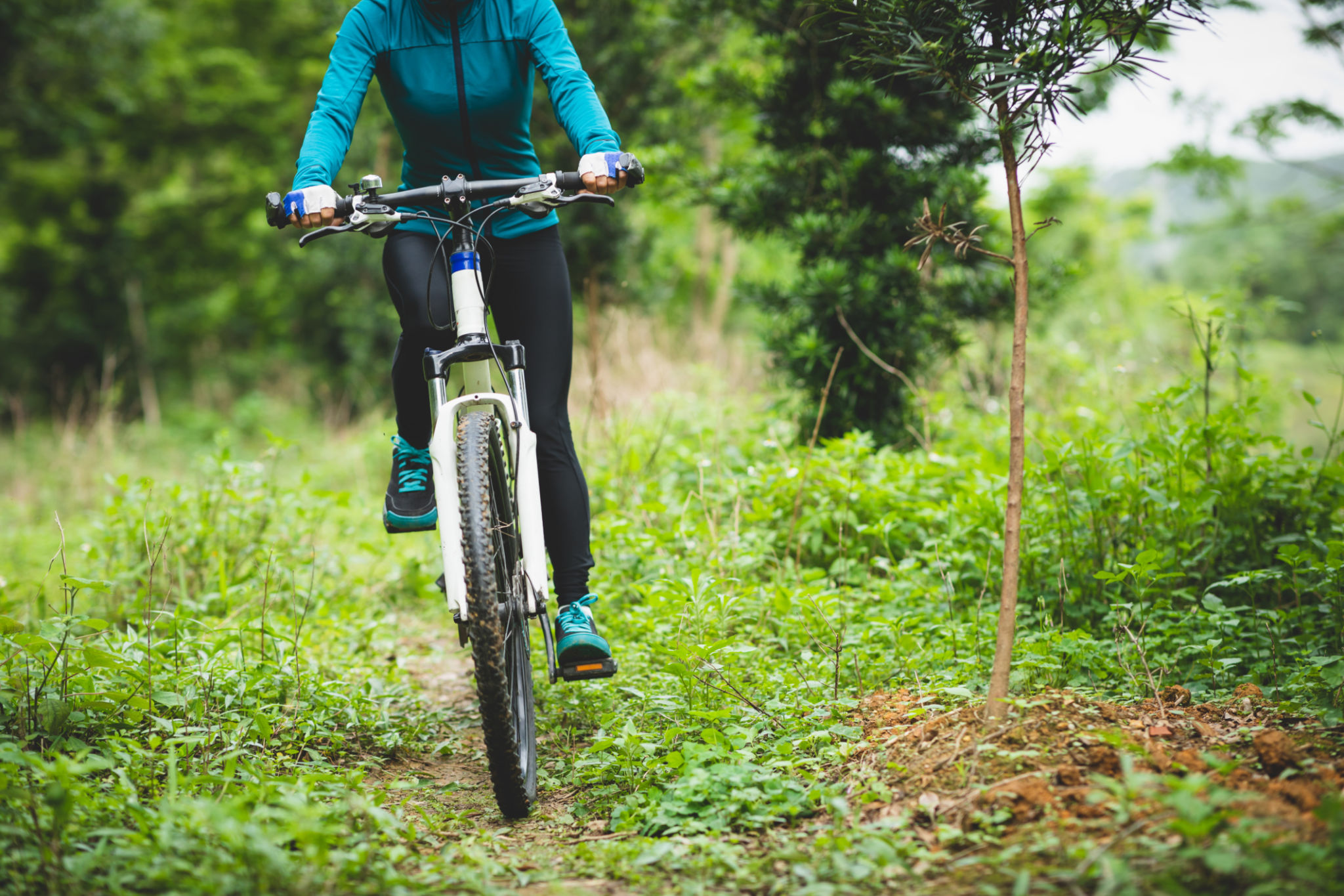 biking trail