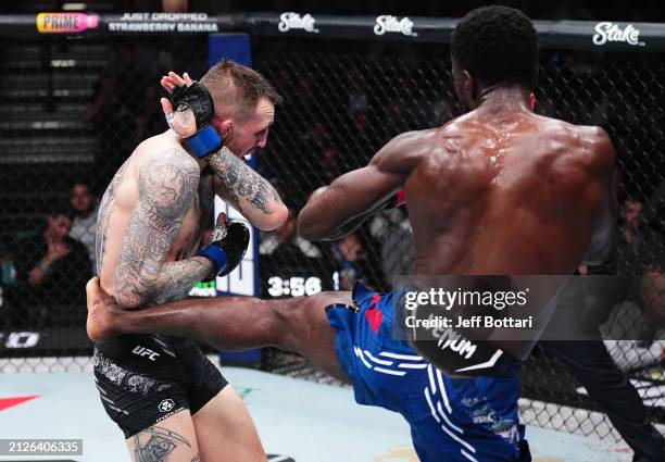 39 Mckee City New Jersey Stock Photos, HighRes Pictures, and Images