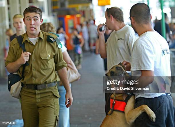 An Israeli soldier casts a wary glance as Ghandi, a Belgian Alsatian explosives sniffing dog, gets a playful tickle from his Israeli handler Avi June...