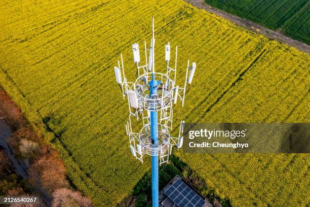 drone aerial view of 5g communication tower against oilseed rape flower background - tour de télécommunication photos et images de collection