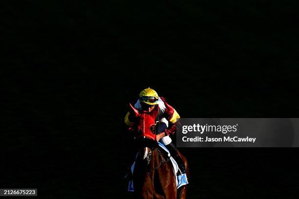 Nash Rawiller riding Huetor compete in Race 9 The Racing and Sports Doncaster Prelude during Sydney Racing at Rosehill Gardens on March 30, 2024 in...