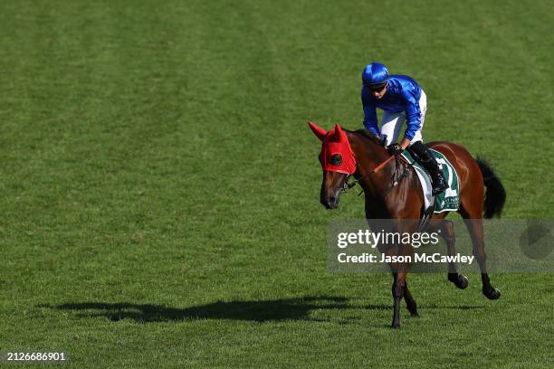 Tom Marquand riding Zardozi prepare to compete in Race 7 The Vinery Stud Stakes during Sydney Racing at Rosehill Gardens on March 30, 2024 in Sydney,...