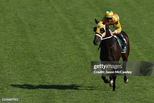 Nash Rawiller riding Tutta La Vita prepare to compete in Race 7 The Vinery Stud Stakes during Sydney Racing at Rosehill Gardens on March 30, 2024 in...