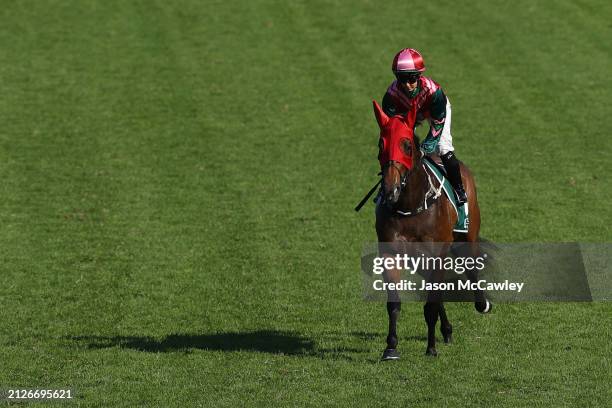 Rachel King riding Kimochi prepare to compete in Race 7 The Vinery Stud Stakes during Sydney Racing at Rosehill Gardens on March 30, 2024 in Sydney,...