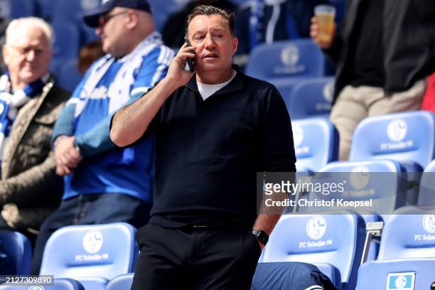 Marc Wilmots, sporting director sits on the tribune during the Second Bundesliga match between FC Schalke 04 and Karlsruher SC at Veltins Arena on...