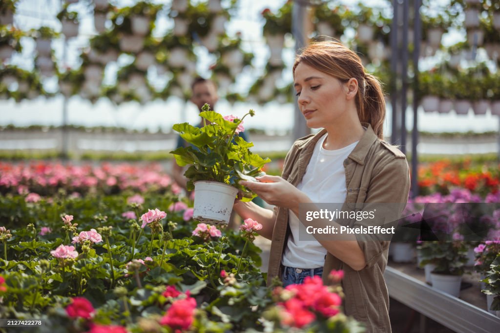 Umweltfreundlicher Gardner