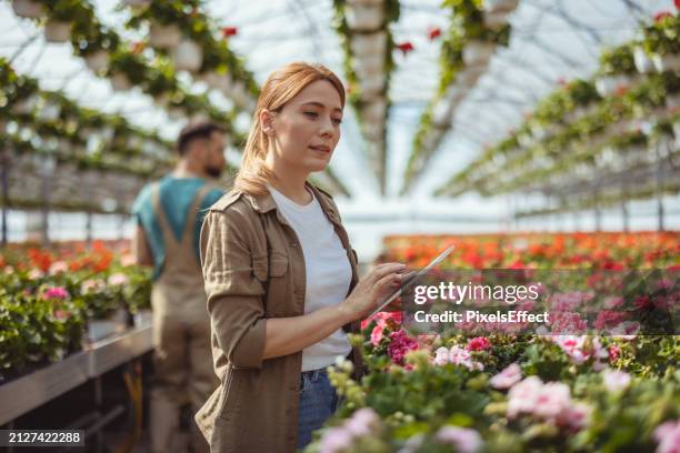 young female florist using digital tablet in garden center - crop plant stock pictures, royalty-free photos & images