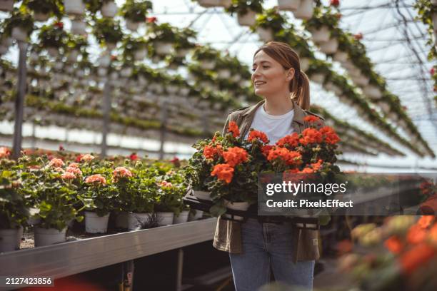 gardner hembra ecológica - centro de jardinería fotografías e imágenes de stock