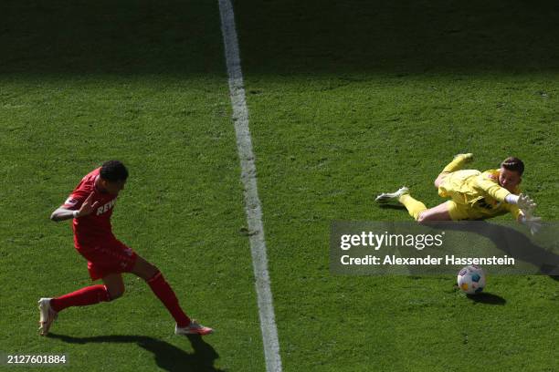 Davie Selke of 1.FC Köln scores his team's first goal as Finn Dahmen of FC Augsburg fails to make a save during the Bundesliga match between FC...