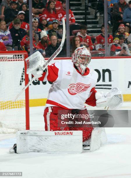 Goaltender Alex Lyon of the Detroit Red Wings defends the net against the Florida Panthers at the Amerant Bank Arena on March 30, 2024 in Sunrise,...