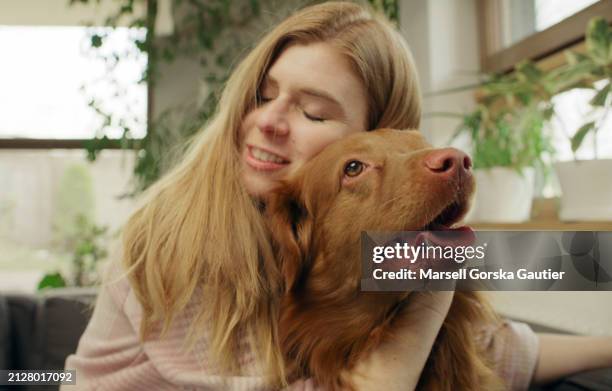 woman relaxing on the couch with beloved pet dog nova scotia duck tolling retriever  petting the animal happily - nova stock pictures, royalty-free photos & images